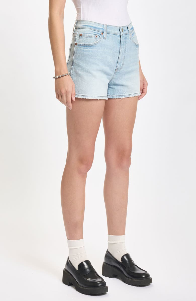 DAZE Troublemaker High Waist Denim Shorts, Alternate, color, All Out