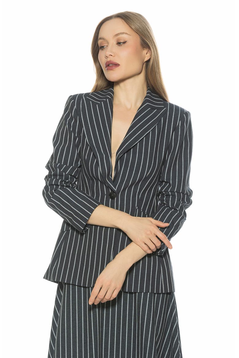 Tau Linen & Cotton Blazer, Alternate, color, NAVY STRIPE