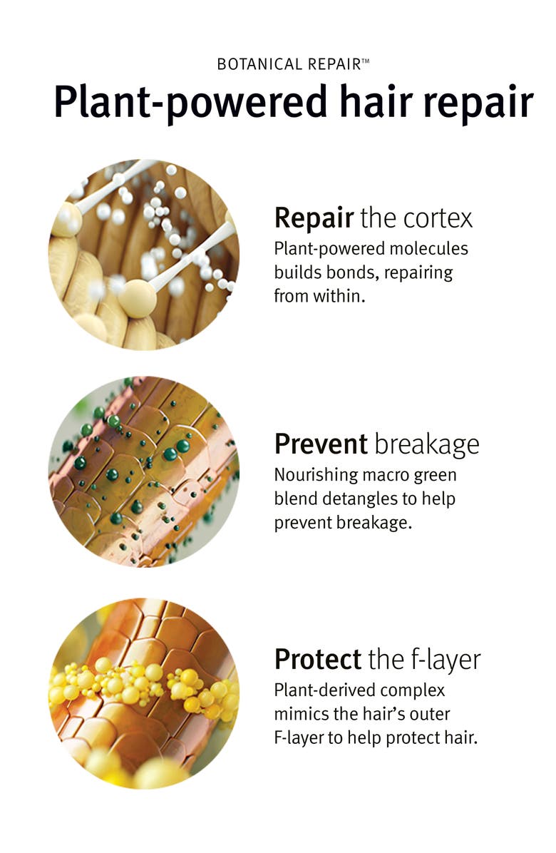 Aveda botanical repair<sup>™</sup> Strengthening Leave-In Treatment Set-$49 Value, Alternate, color,