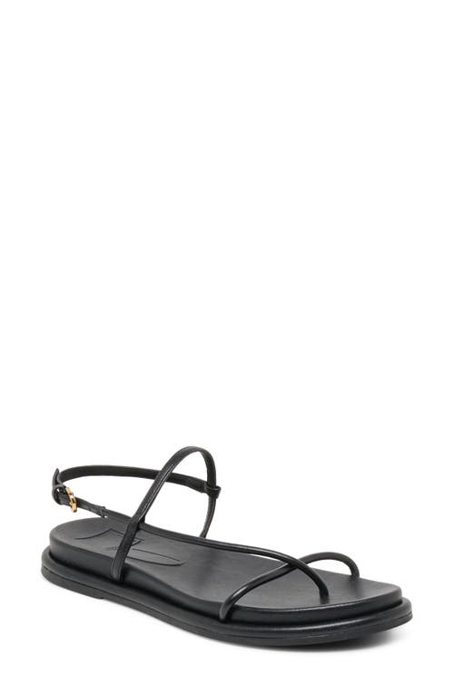 Dolce Vita Dom Strappy Sandal in Black Leather at Nordstrom, Size 9