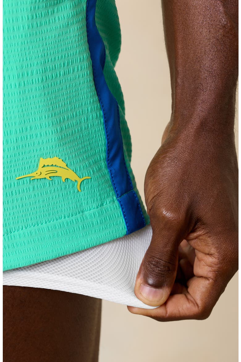 Rialto Nova Wave 6 Board Shorts, Alternate, color, AQUA ALOHA