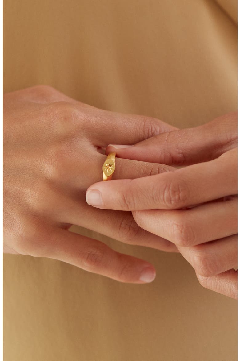 Guiding Star Signet Ring, Alternate, color, 18CT GOLD VERMEIL ON SILVER