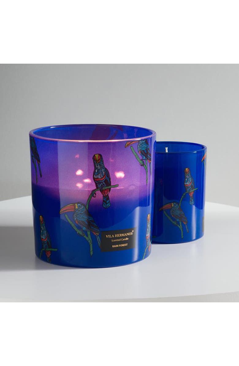 Vila Hermanos Vila Jungletropia Candle In A Jar, Alternate, color, Black Tucan