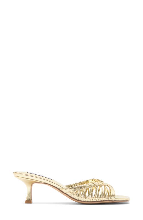 Steve Madden Sharey Kitten Heel Sandal In Gold