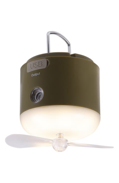 Portable Lantern & Fan