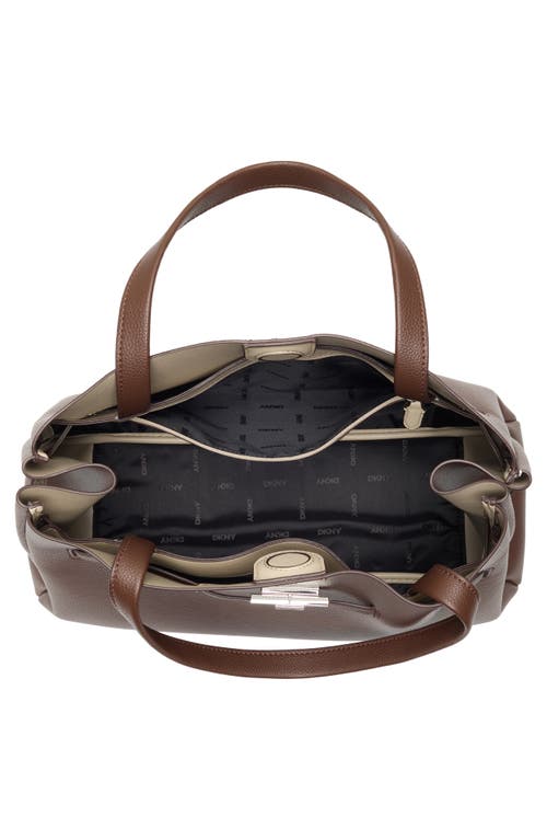 Dkny Bryar Large Satchel Bag In Brown