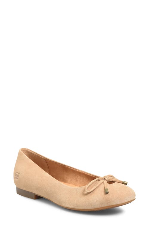 Børn Poe Ballet Flat in Taupe Suede 