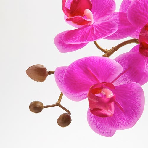 Cg Hunter Artificial Pink Double Stem Orchid In Pink