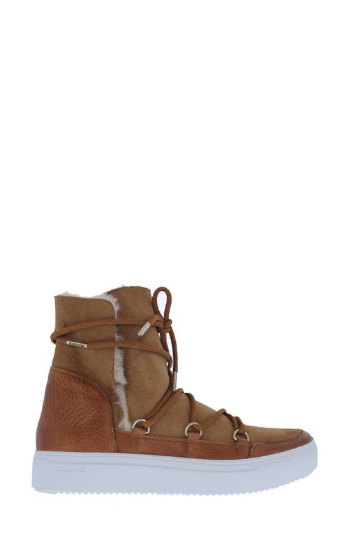 Blackstone Ul87 Genuine Shearling Lined Boot In Brown