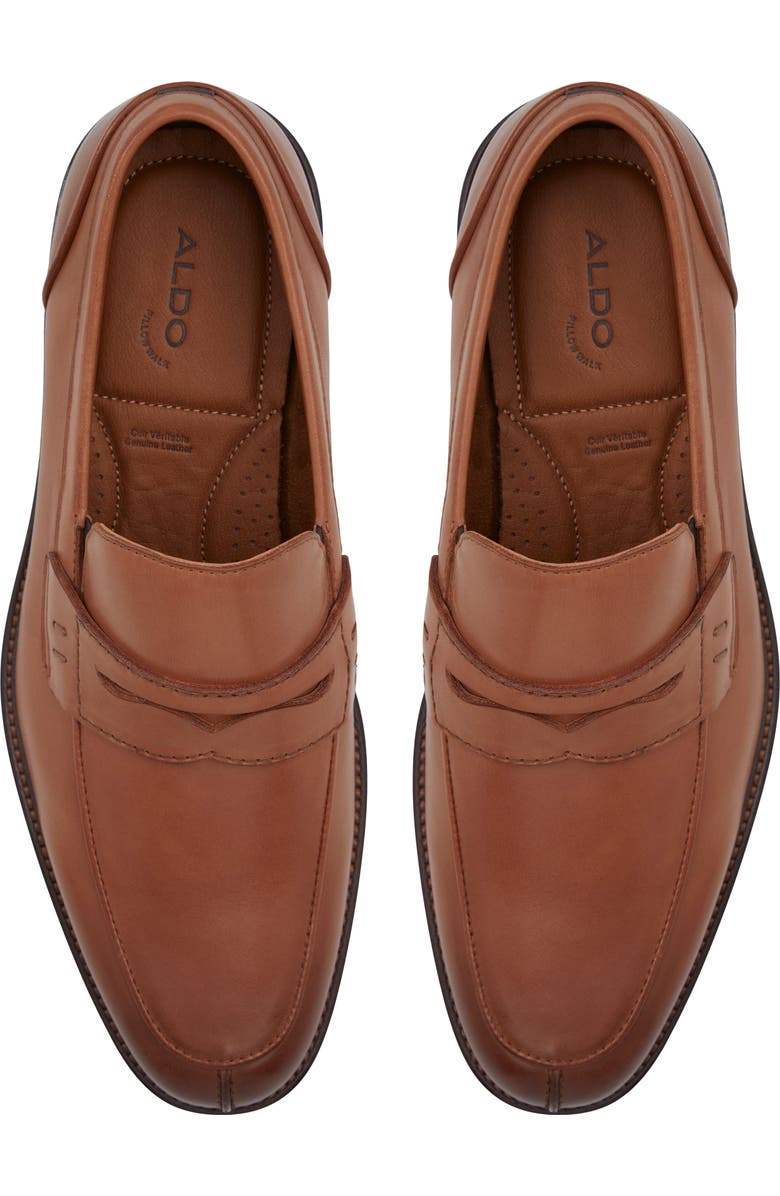 ALDO Sullivan Penny Loafer, Alternate, color,