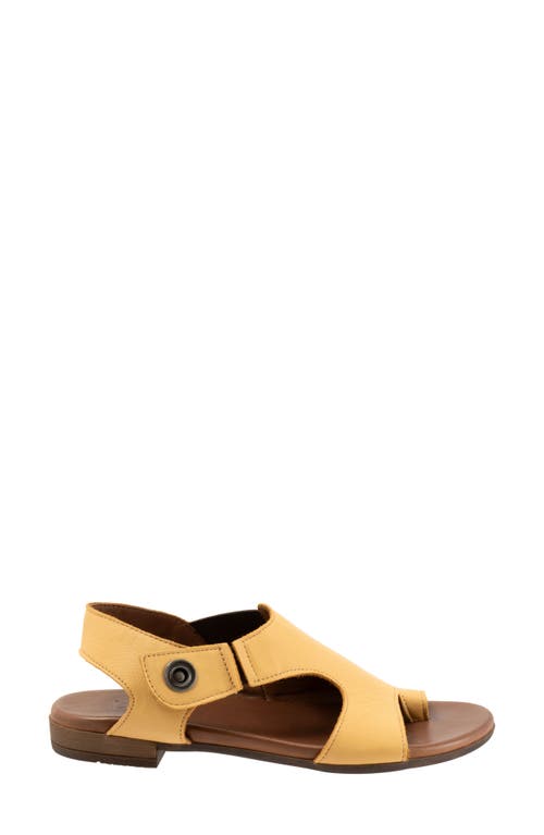 Bueno Tessie Toe Loop Sandal In Mustard