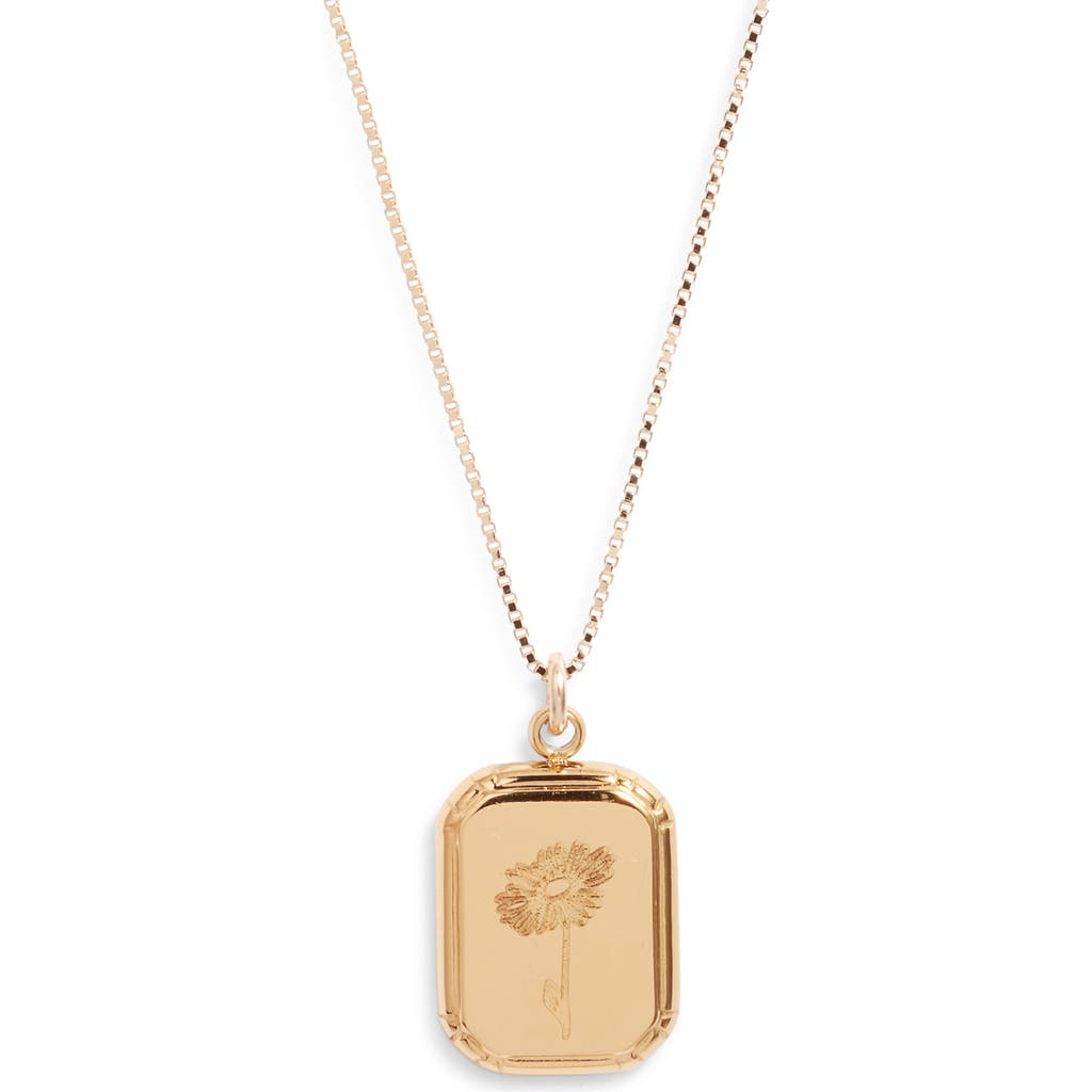 Set & Stones Audrey Birth Flower Pendant Necklace In Gold