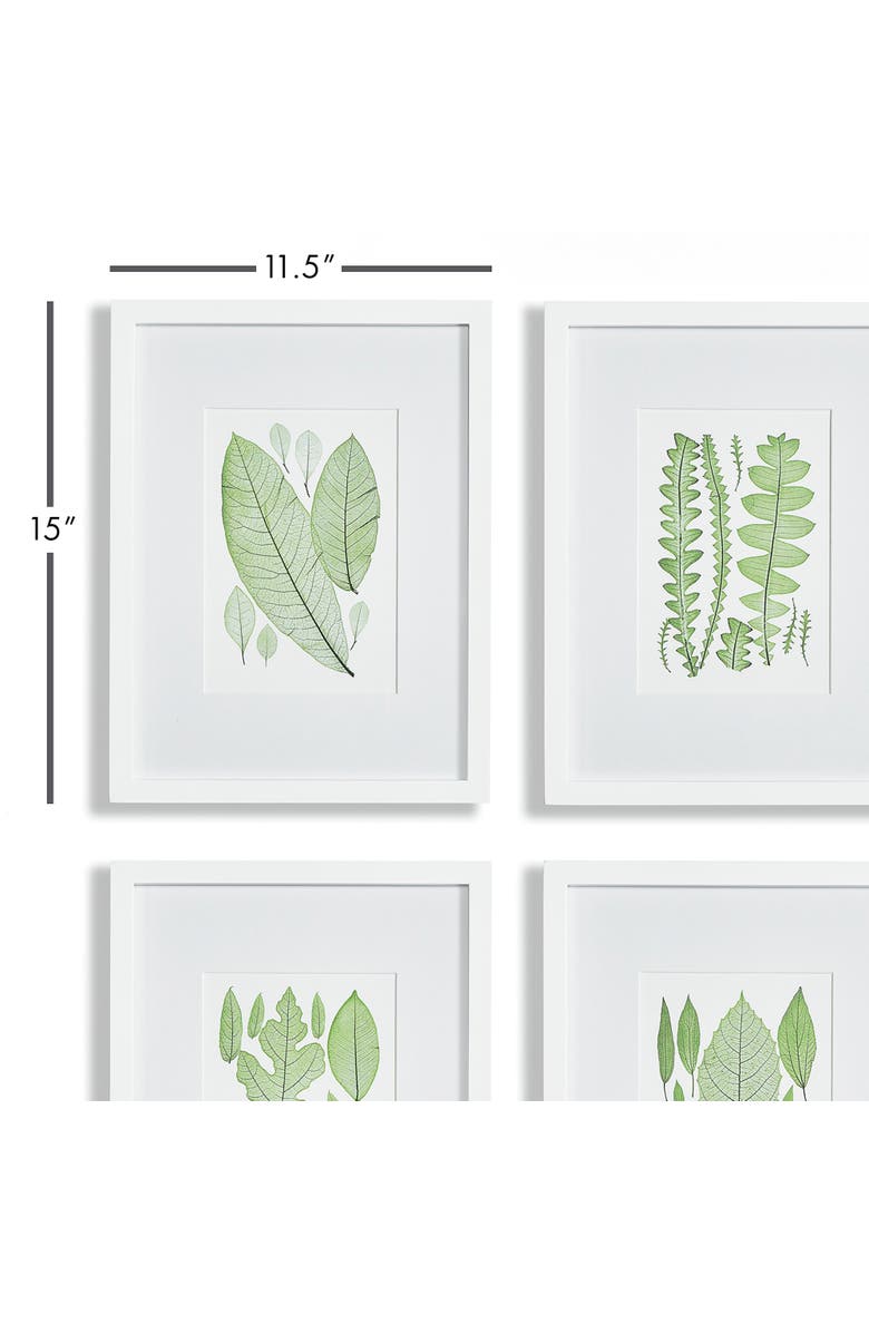 Napa Home & Garden Assorted Leaf Prints Set of 4, Alternate, color, Green