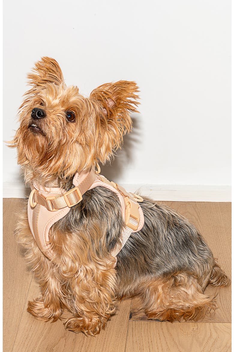 Dog Harness, Alternate, color, TAN