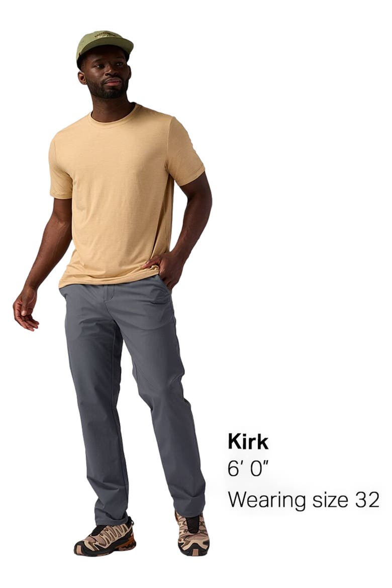 Tahoe Pant - Men's, Alternate, color, Turbulence