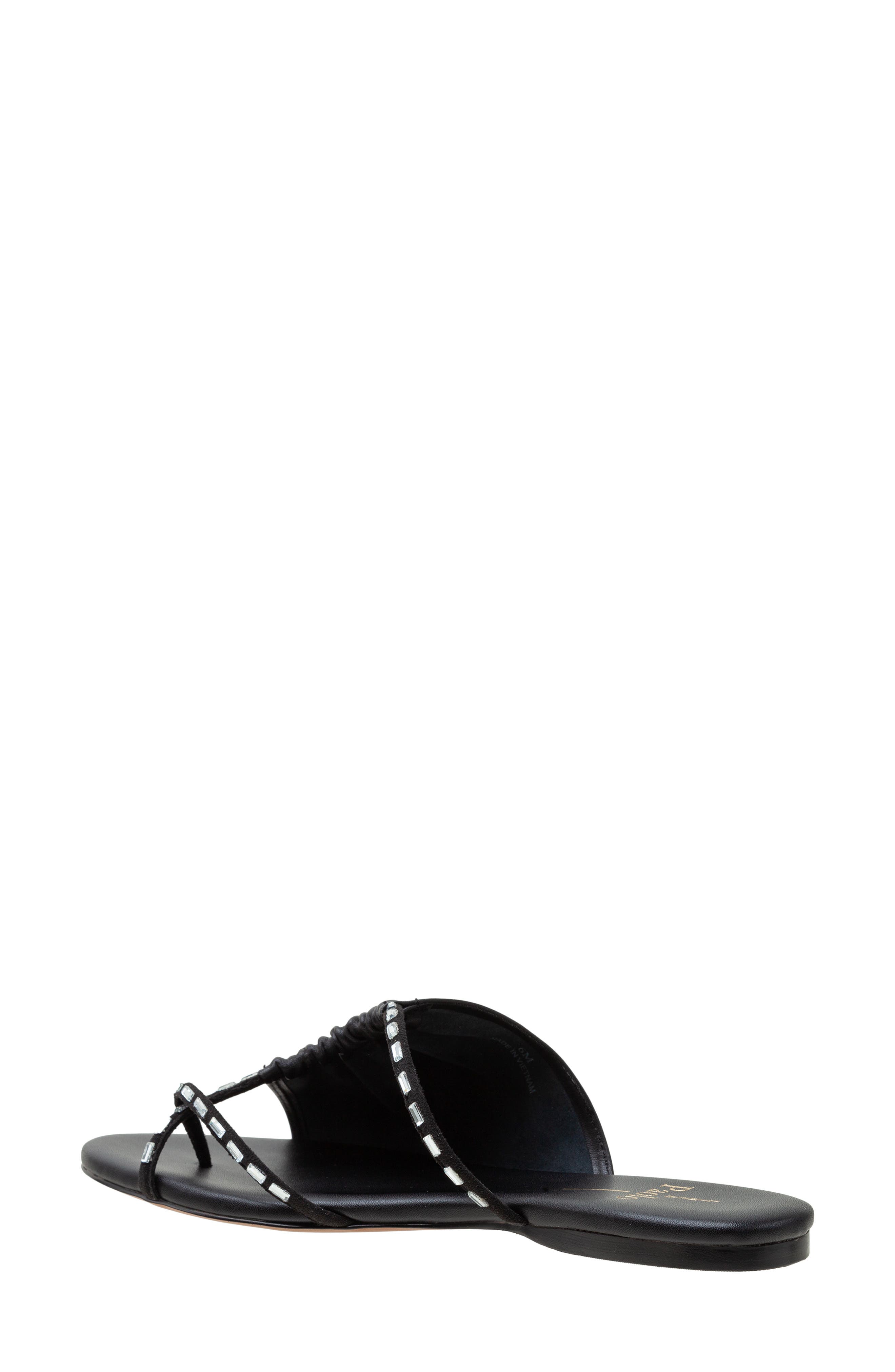 Linea Paolo Lane Toe Loop Sandal, Alternate, color, Black