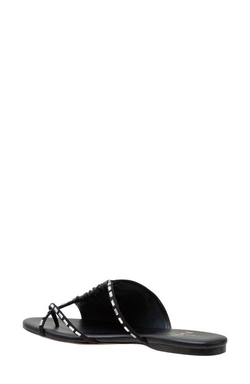 Linea Paolo Lane Toe Loop Sandal In Black