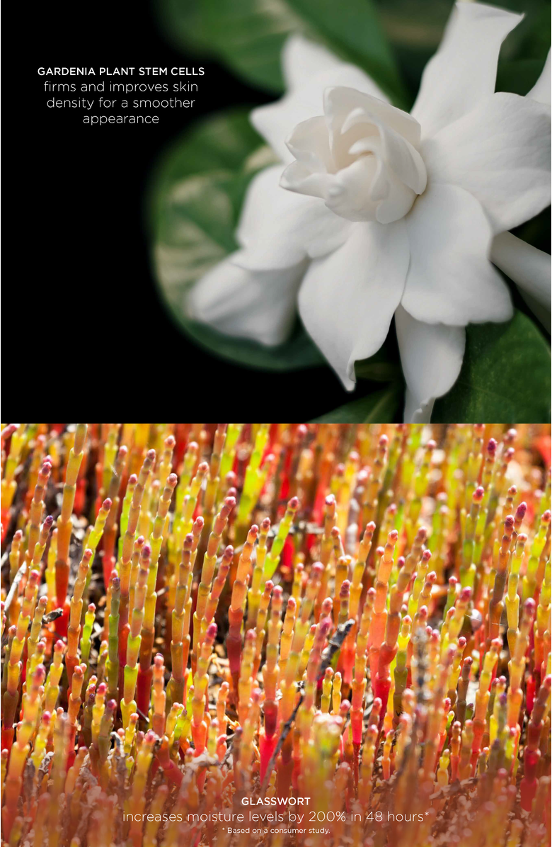 Intelligent Nutrients Regenerative Rich Cream, Alternate, color, NO COLOR