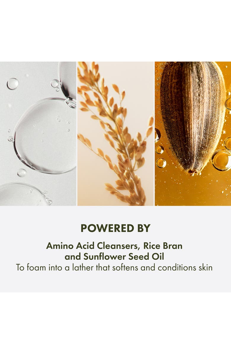 Origins Checks and Balances Gentle Foaming Face Wash, Alternate, color,