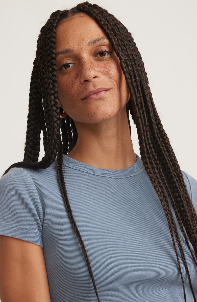 Marine Layer Lexi Sun-In Crewneck Rib T-Shirt, Alternate, color, 