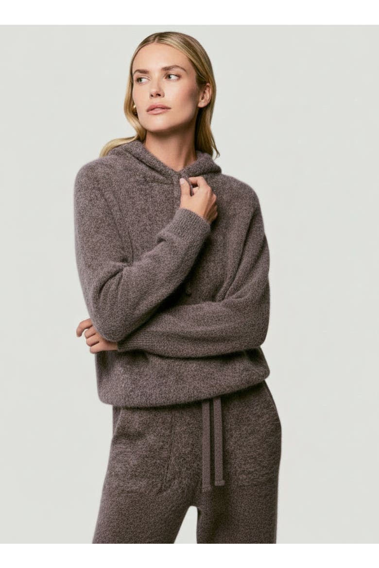 Ultra Soft Baby Alpaca Hoodie, Main, color, BISON