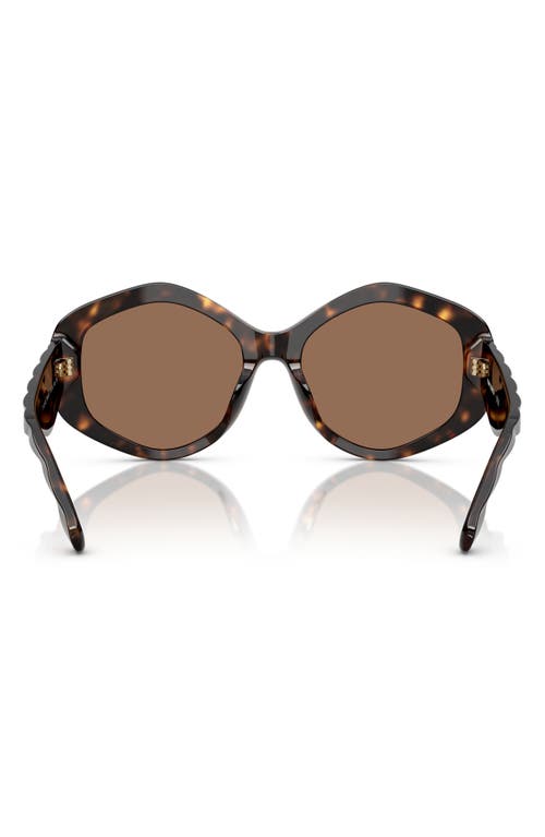 Tory Burch Kira 55mm Geometric Sunglasses In Dark Tortoise/brown