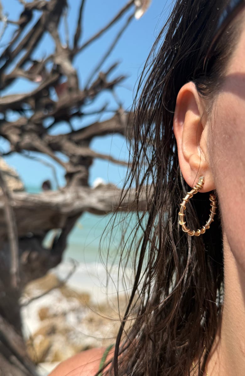 ALBISIA Spina Hoops, Alternate, color, 14K Gold Filled