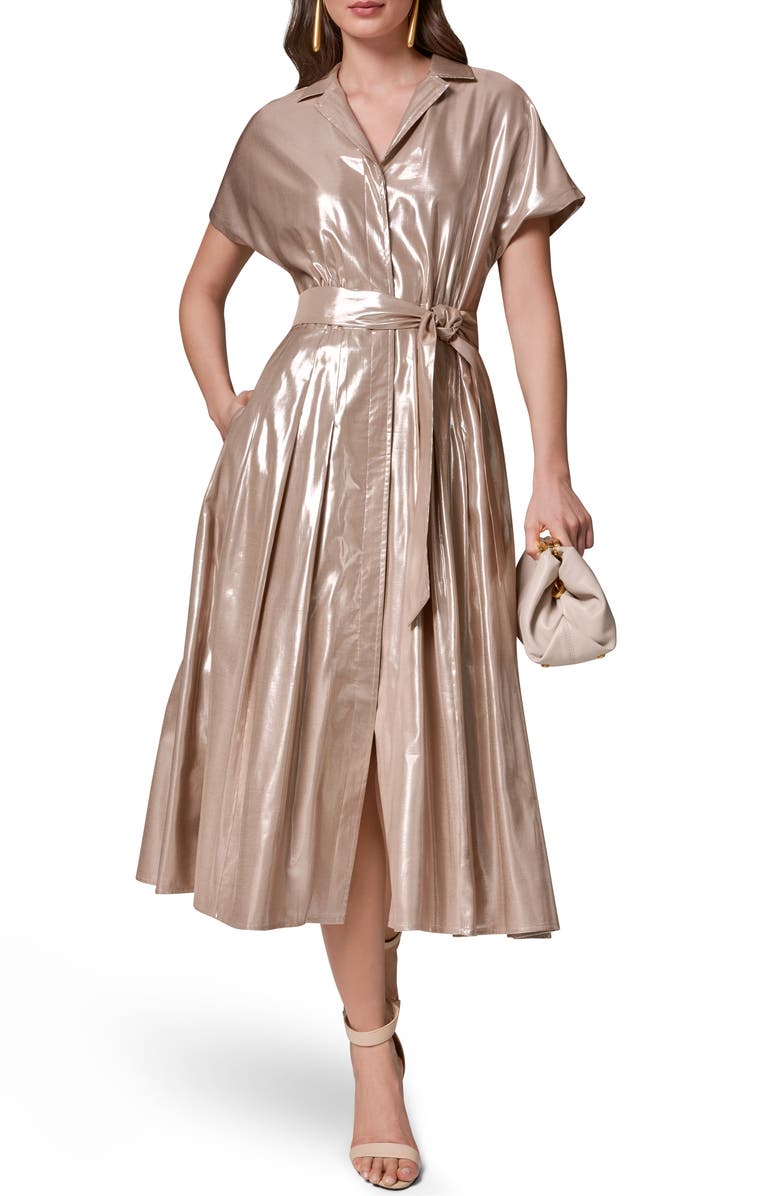 Donna Karan New York Metallic Belted Shirtdress, Main, color, Snow Petal/ Silver