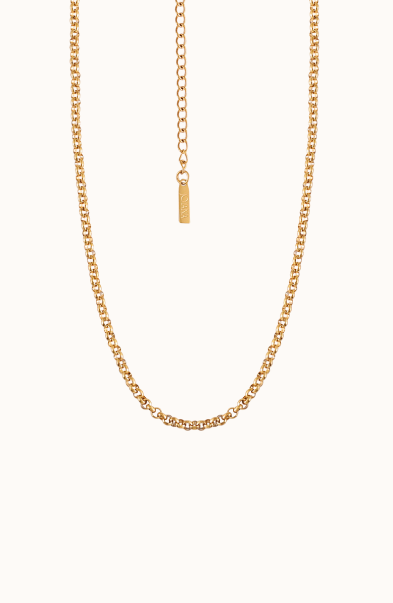 Joiana Jewelry The Everyday Belcher Chain, Alternate, color, 