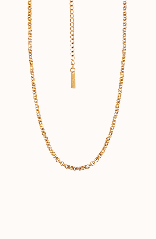 Joiana Jewelry The Everyday Belcher Chain In Gold