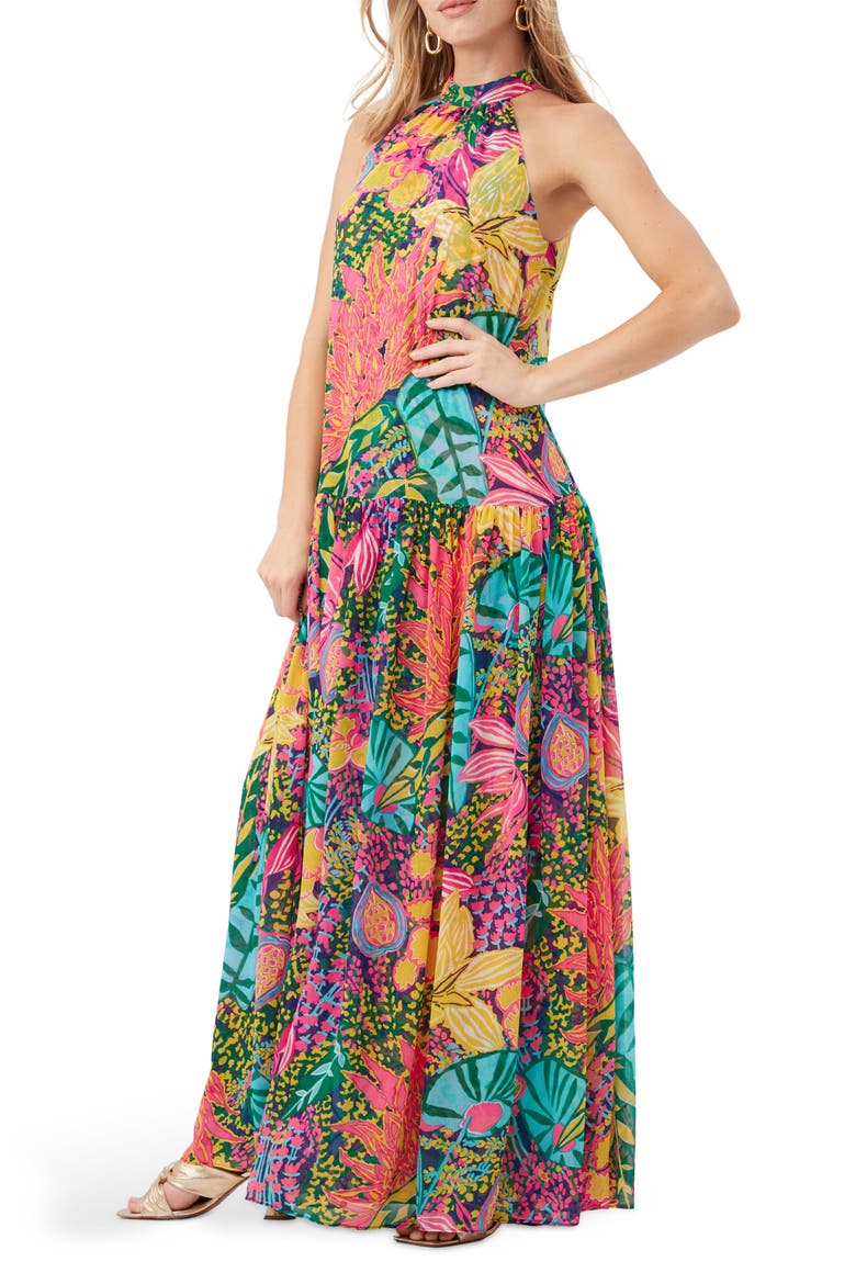 Kissimee Sleeveless Maxi Dress, Alternate, color, YELLOW MULTI