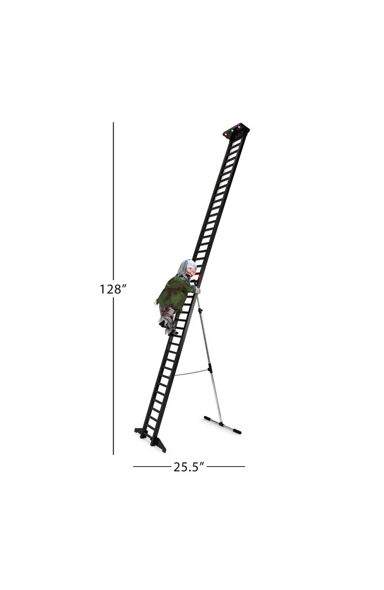 Mr. Halloween 10 ft. Outdoor Ladder Climbing Zombie, Alternate, color, Multicolor