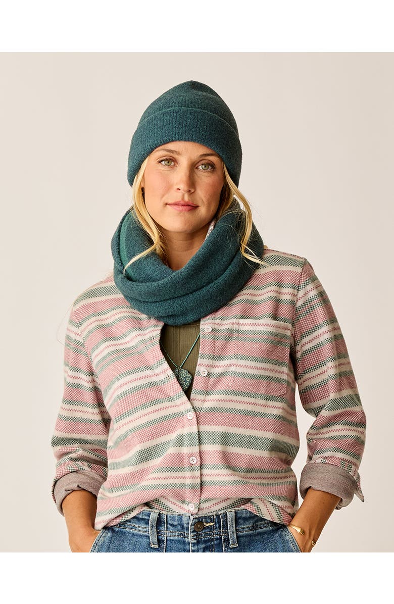 Carve Designs Margot Scarf, Main, color, Bistro