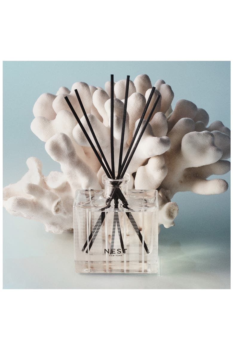 Ocean Mist & Sea Salt Reed Diffuser, Alternate, color, NO COLOR