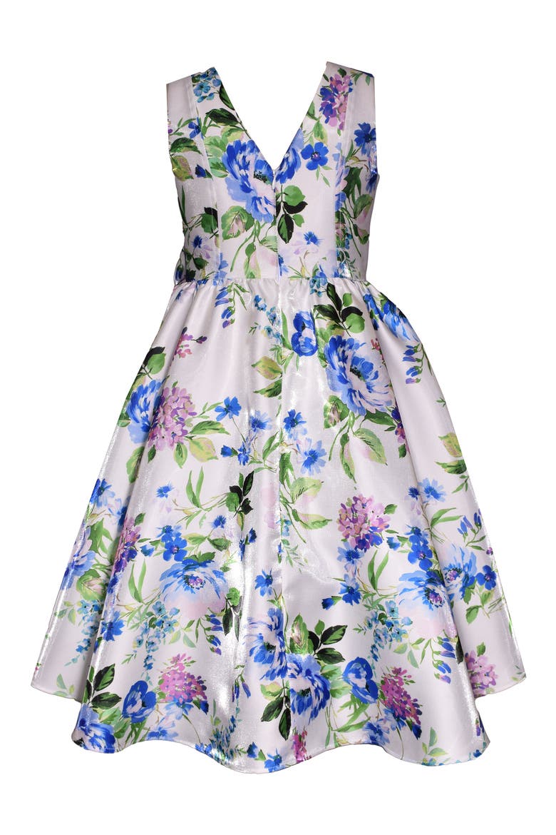 Kids' Floral Print Sleeveless Dress, Alternate, color, BLUE