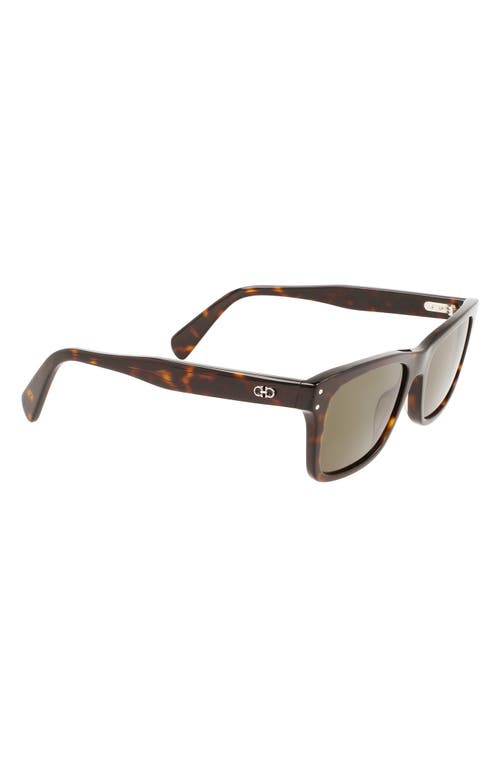 Ferragamo Gancini 54mm Rectangular Sunglasses In Brown