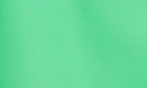 Polo Ralph Lauren Traveler Swim Shorts In Plato Green