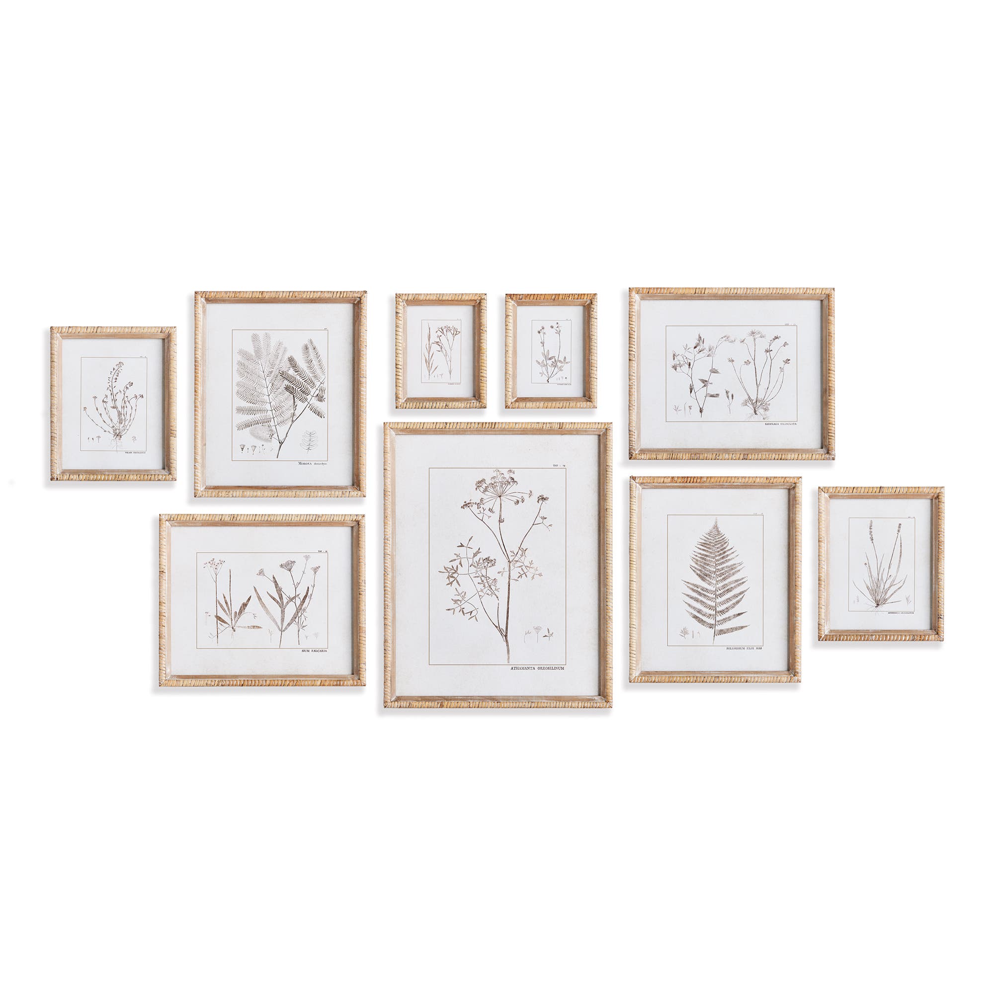 selected Beige
