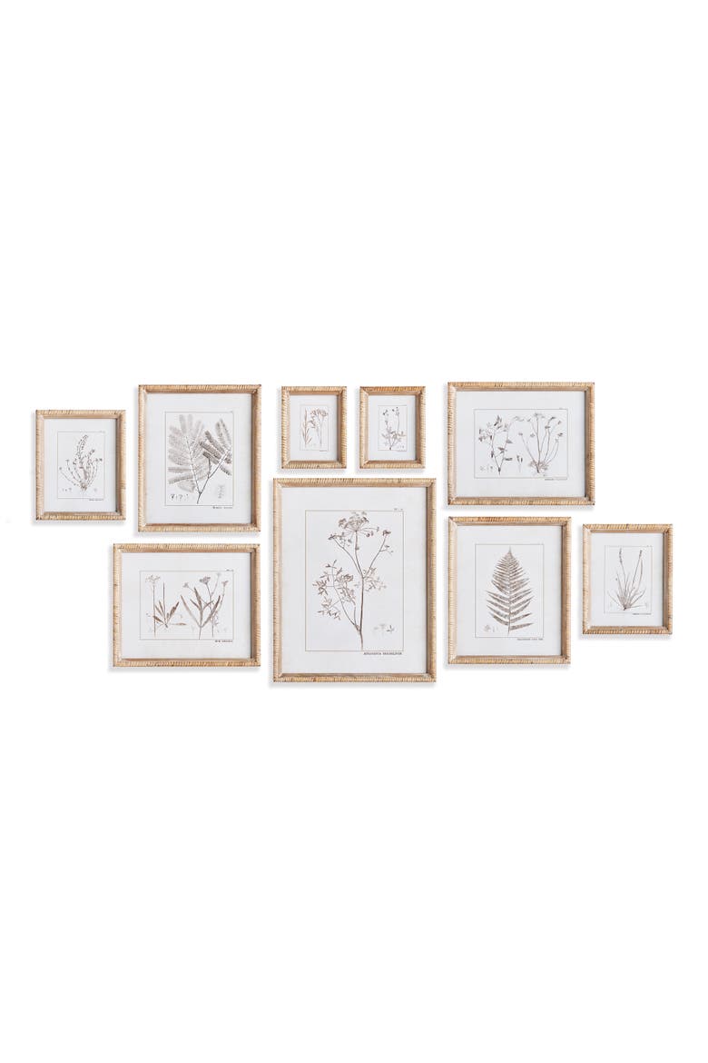 15.75"W x 1"D x 19.75"H and 11.75 x 1 x 14 and 8.5 x 1 x 10.5 and 6.25 x 1 x 7.75 Botanical Study In Sepia Framed Wall Art Set of 9, Main, color, Beige