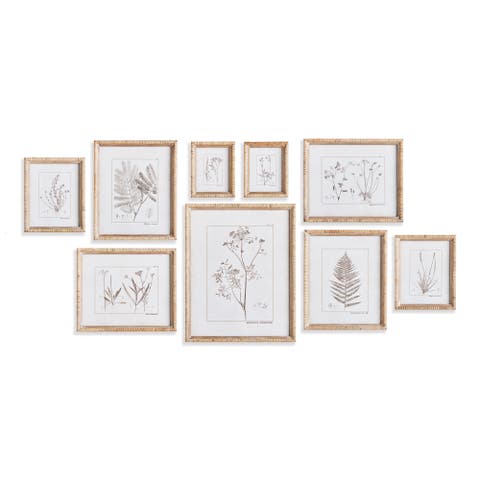 15.75"W x 1"D x 19.75"H and 11.75 x 1 x 14 and 8.5 x 1 x 10.5 and 6.25 x 1 x 7.75 Botanical Study In Sepia Framed Wall Art Set of 9
