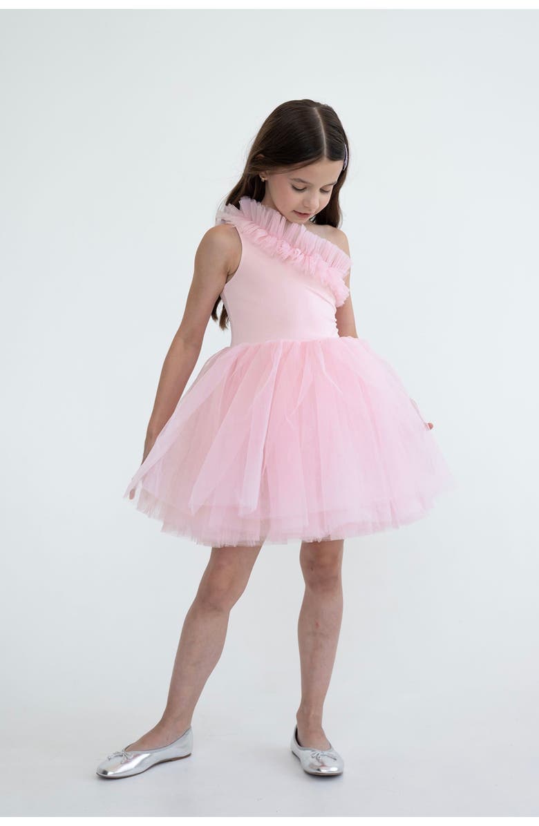 Mini Celebrities Pinky One Shoulder Ruffle Tulle Dress, Main, color, Pink Rose
