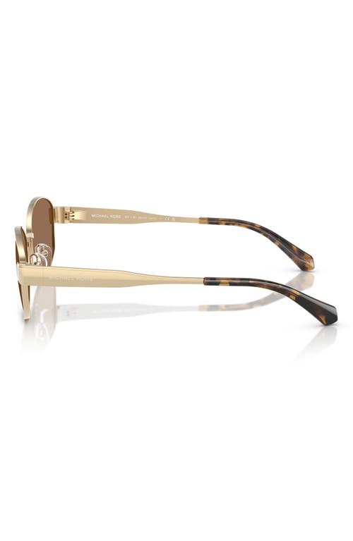 Michael Kors 56mm Oval Sunglasses In Brown/gold
