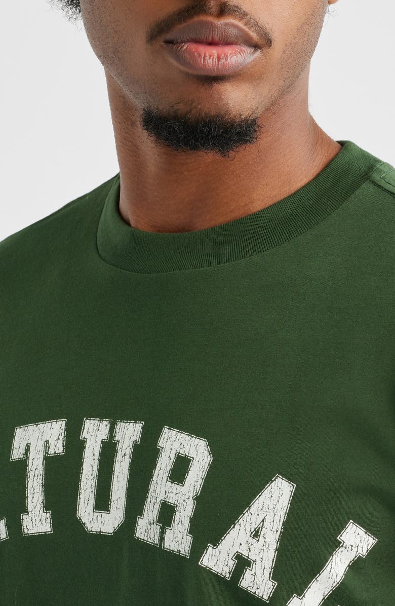 Museum of Peace 
Quiet Natural Arch Pigment Dyed Graphic T-Shirt, Alternate, color, Forest