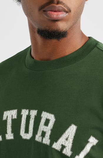 Natural Arch Pigment Dyed Graphic T-Shirt