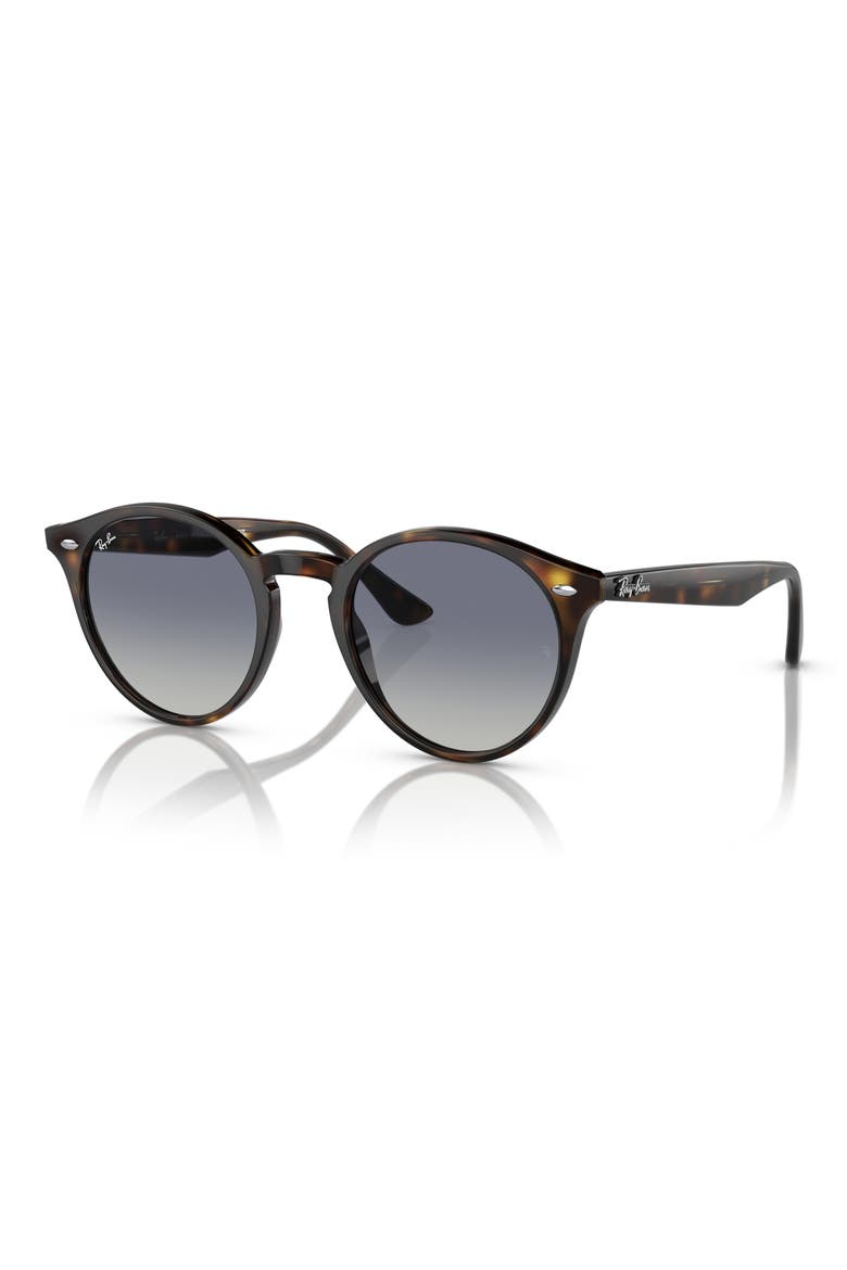 49mm Retro Sunglasses, Alternate, color, LITE HAVANA