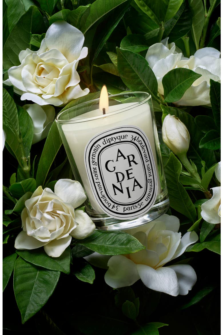 Gardenia Scented Candle, Alternate, color, NO COLOR