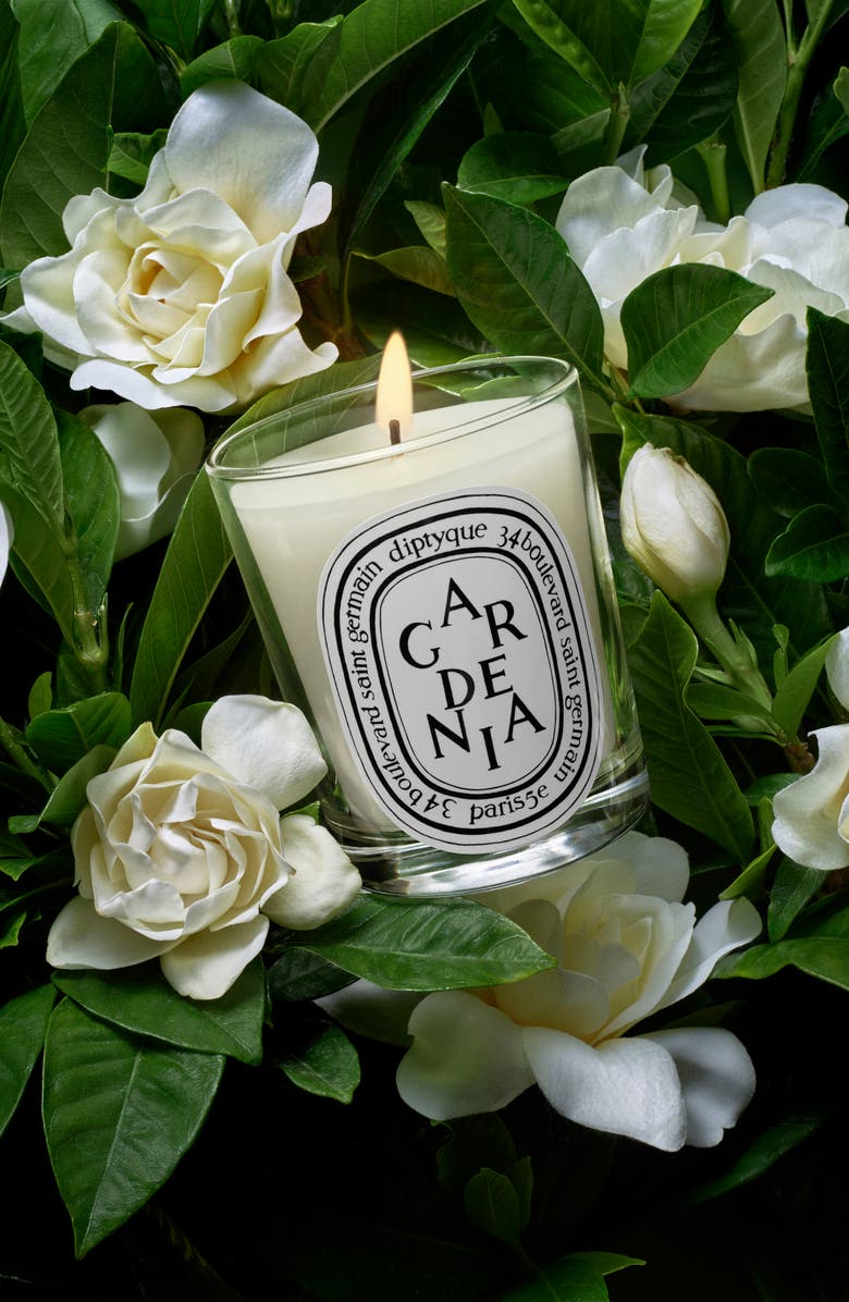 Diptyque Gardenia Scented Candle, Alternate, color, 