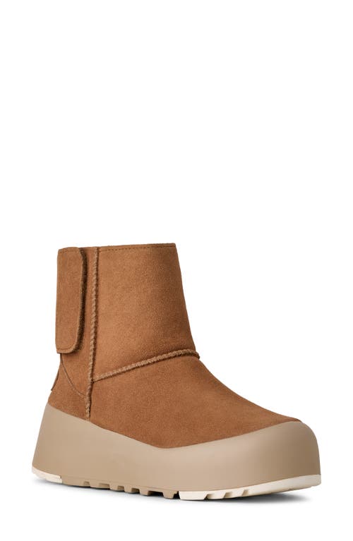 Ugg(r) Classic Streetscape Bootie In Brown