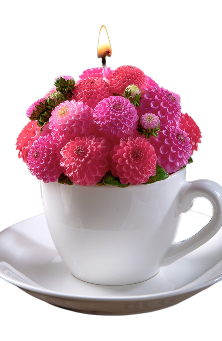 Southlake gifts Dahlia Bouquet Aromatherapy Candle, Alternate, color, Rose Red