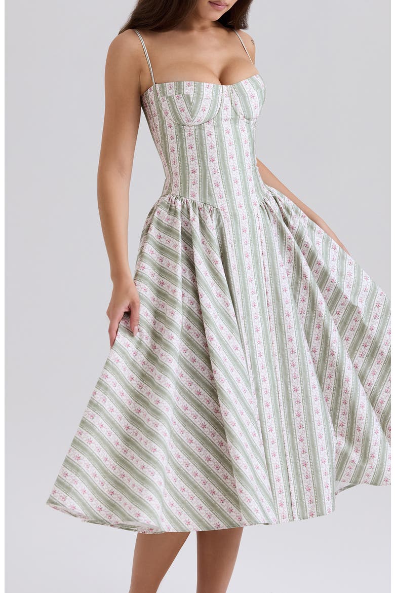 Mya Corset Sleeveless Midi Dress, Alternate, color, ROSE STRIPE FLORAL GREEN